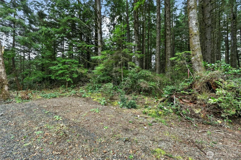 2772 State Route 109 Ocean City, WA 98569