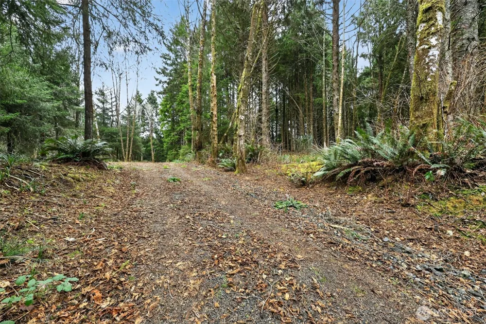 2772 State Route 109 Ocean City, WA 98569