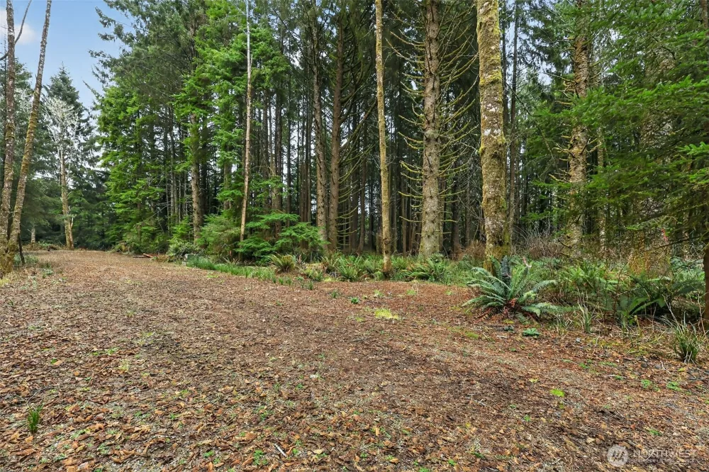 2772 State Route 109 Ocean City, WA 98569