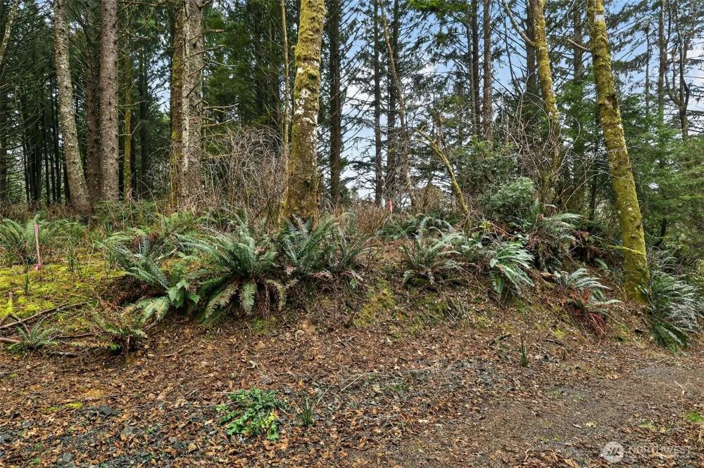 2772 State Route 109 Ocean City, WA 98569