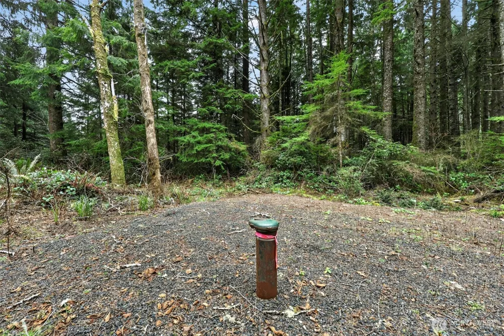 2772 State Route 109 Ocean City, WA 98569