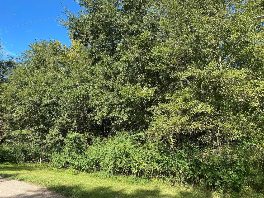 2653 County Road 348 Brazoria, TX 77422