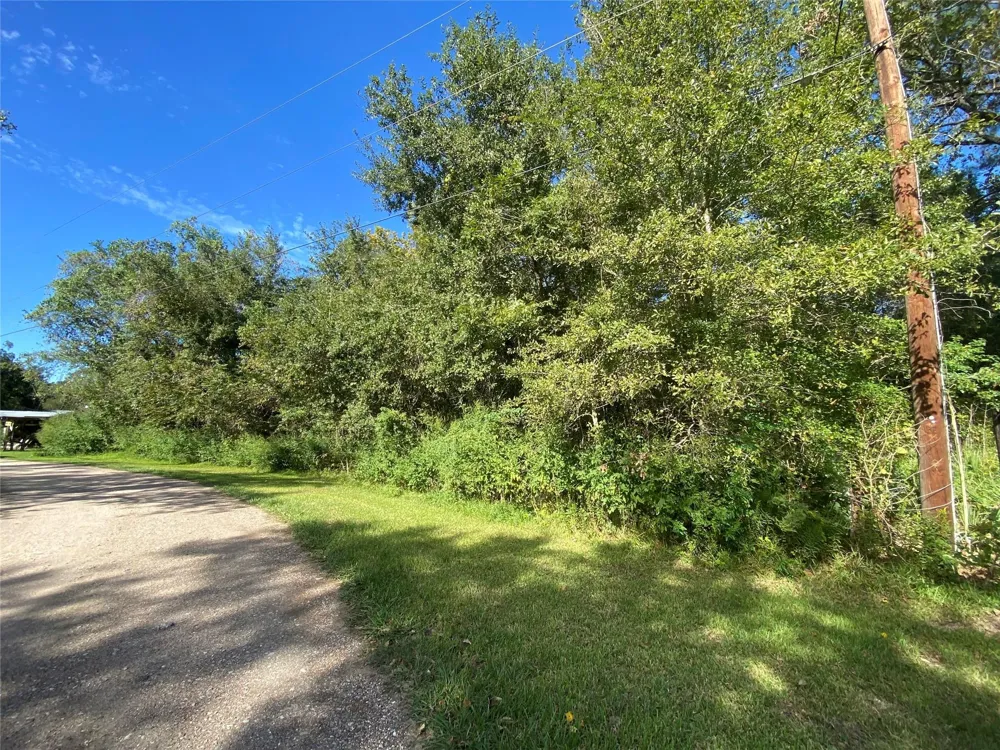 2653 County Road 348 Brazoria, TX 77422