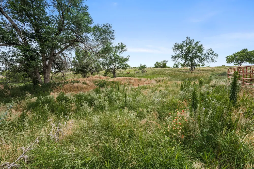 1204 E Cheyenne Canadian, TX 79014