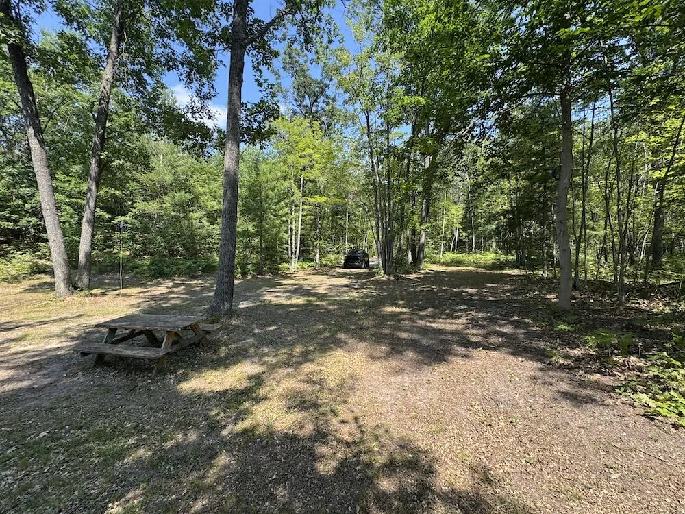 12871 Michigan 33 Atlanta, MI 49709
