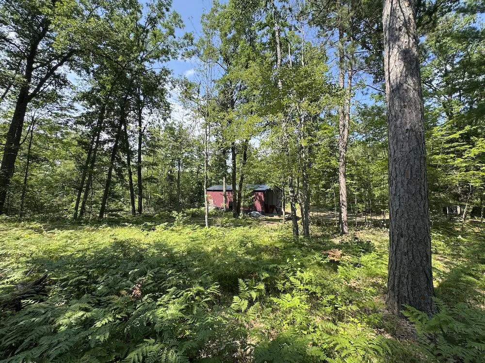 12871 Michigan 33 Atlanta, MI 49709