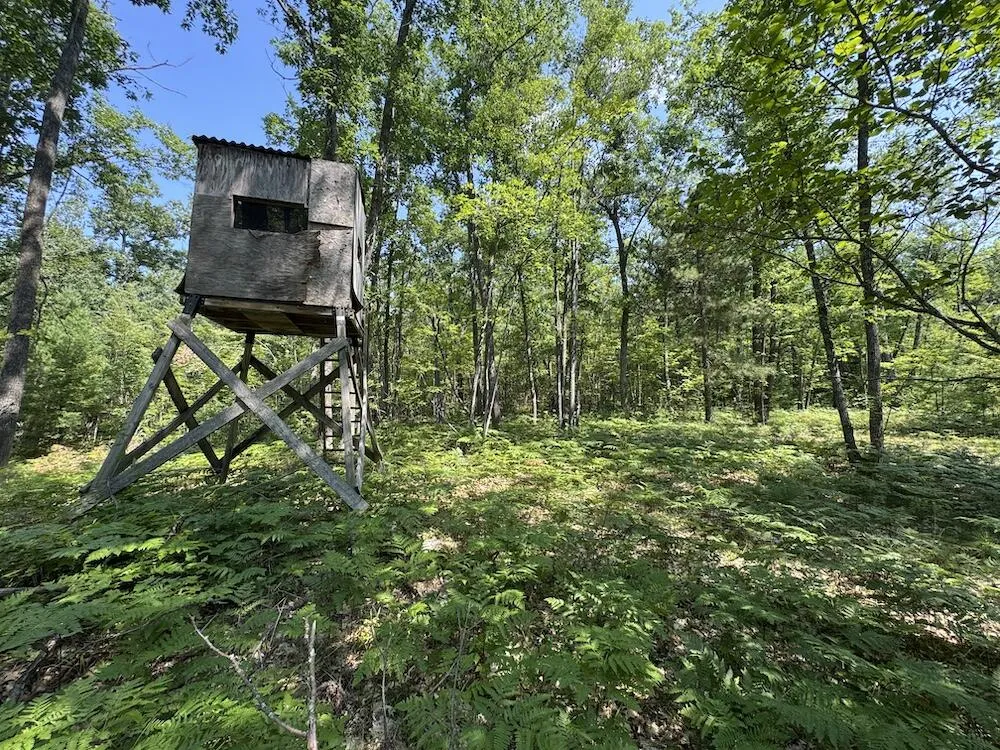 12871 Michigan 33 Atlanta, MI 49709