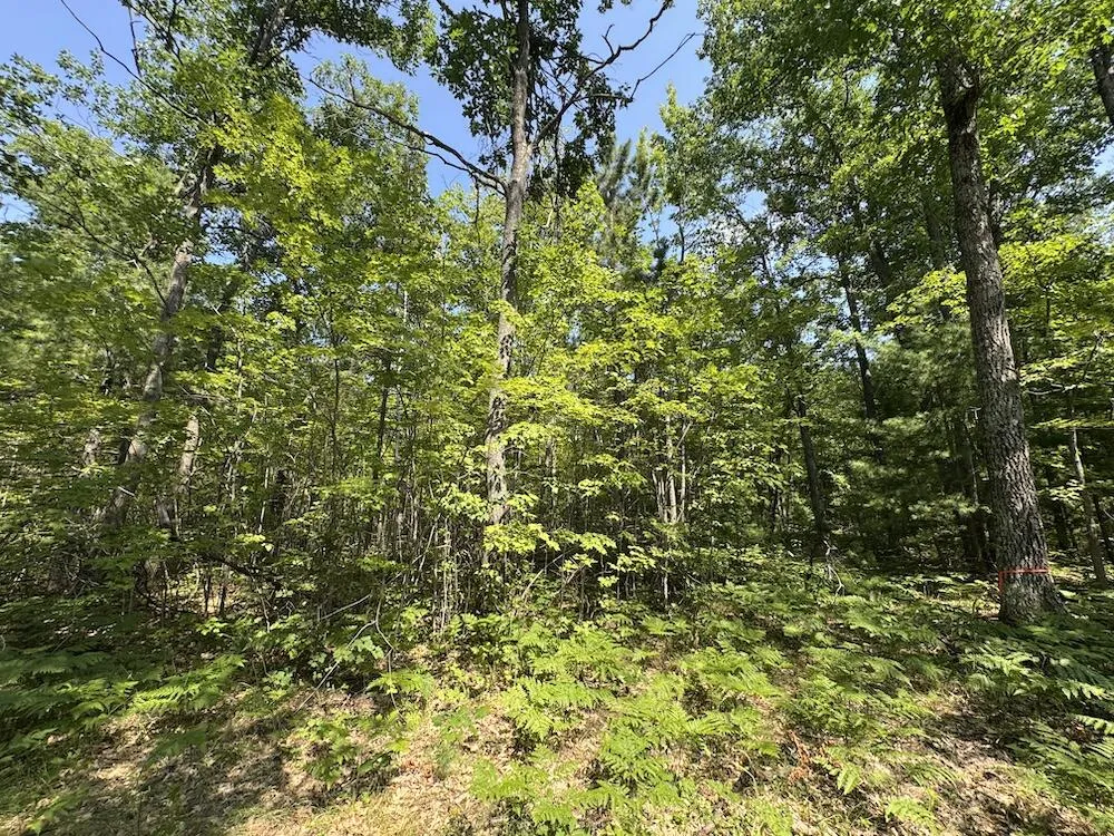 12871 Michigan 33 Atlanta, MI 49709