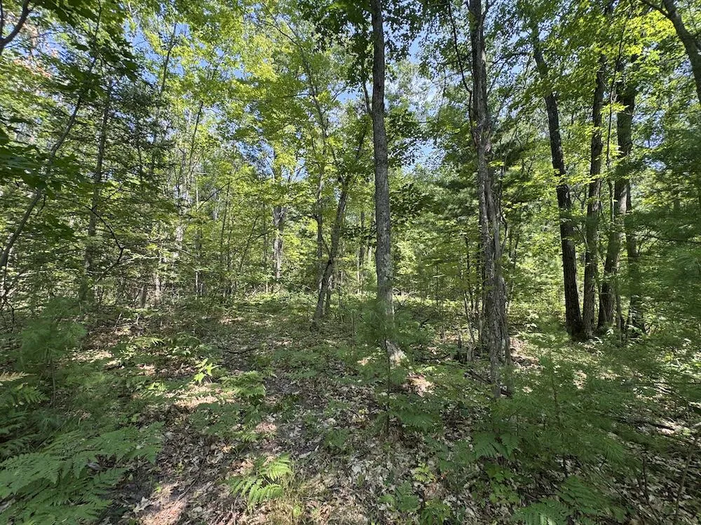 12871 Michigan 33 Atlanta, MI 49709