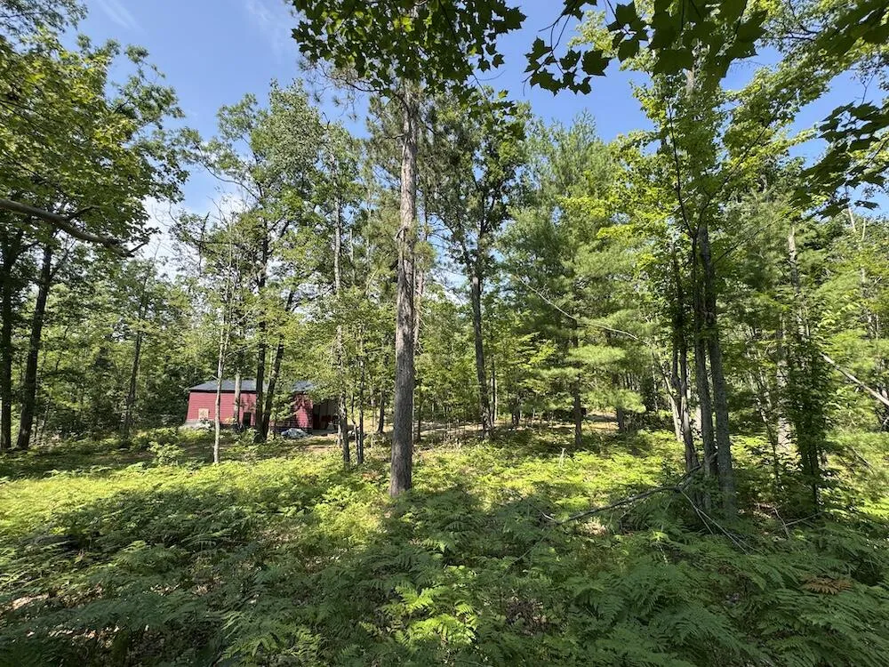 12871 Michigan 33 Atlanta, MI 49709