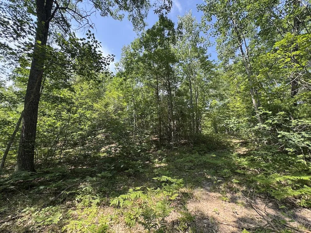 12871 Michigan 33 Atlanta, MI 49709