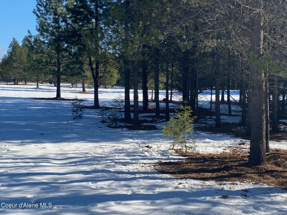 NKA Akin Back Ranch Road Athol, ID 83801