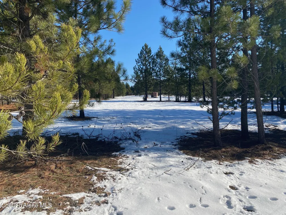 NKA Akin Back Ranch Road Athol, ID 83801