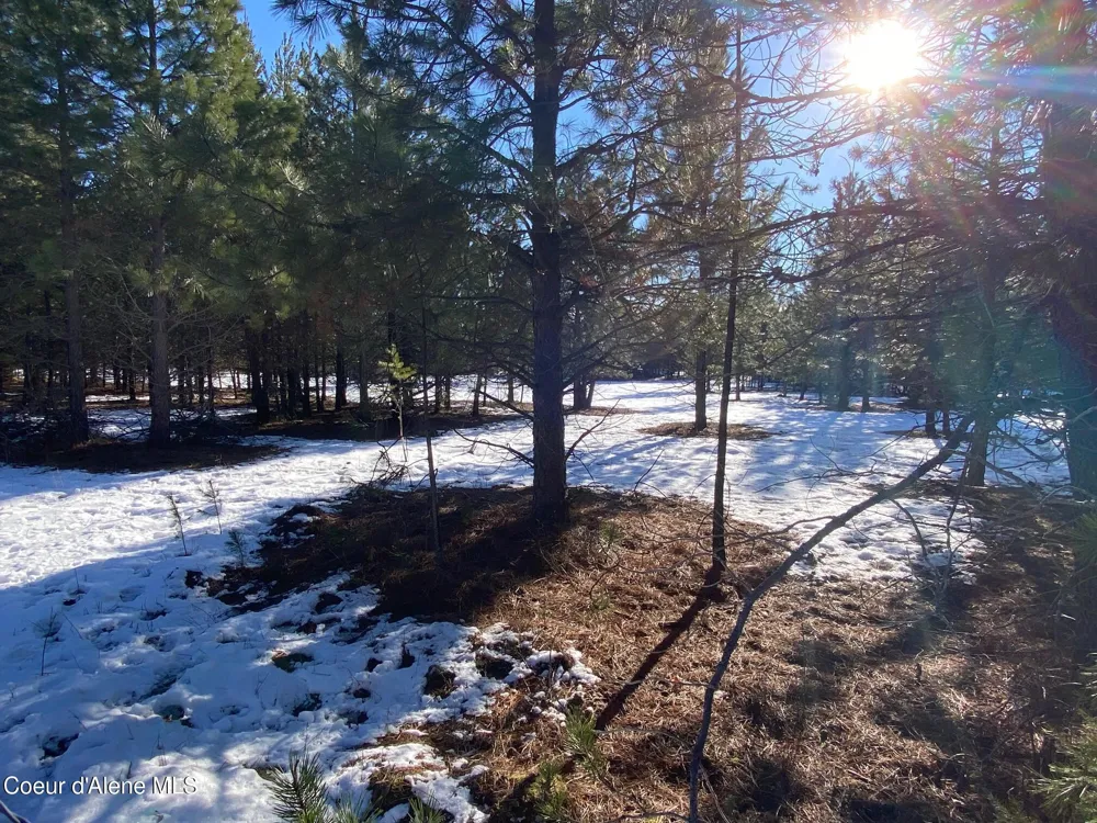 NKA Akin Back Ranch Road Athol, ID 83801