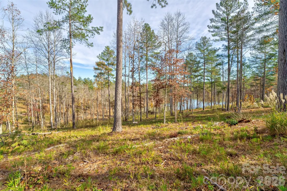 3084 Mount Harvard Court #79 Connelly Springs, NC 28612