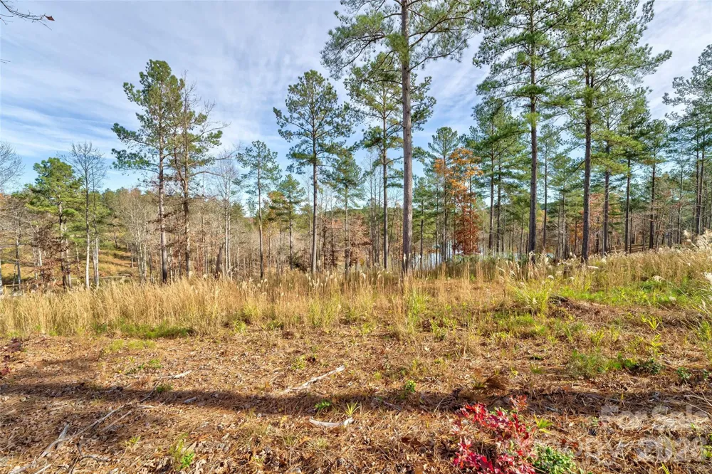 3084 Mount Harvard Court #79 Connelly Springs, NC 28612