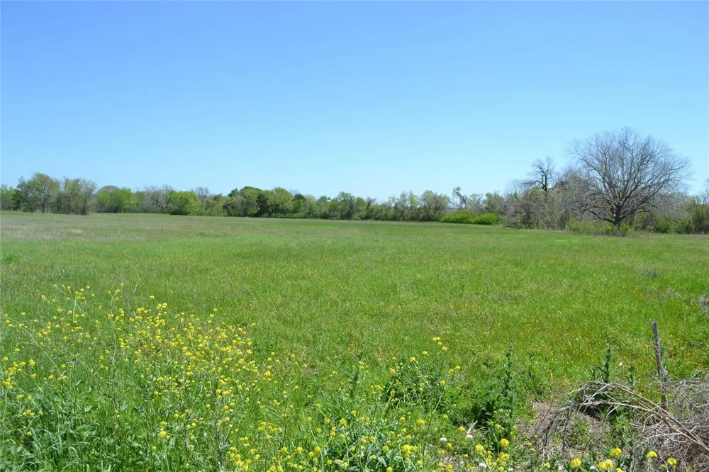 5568 Bleiblerville Road Bleiblerville, TX 78931