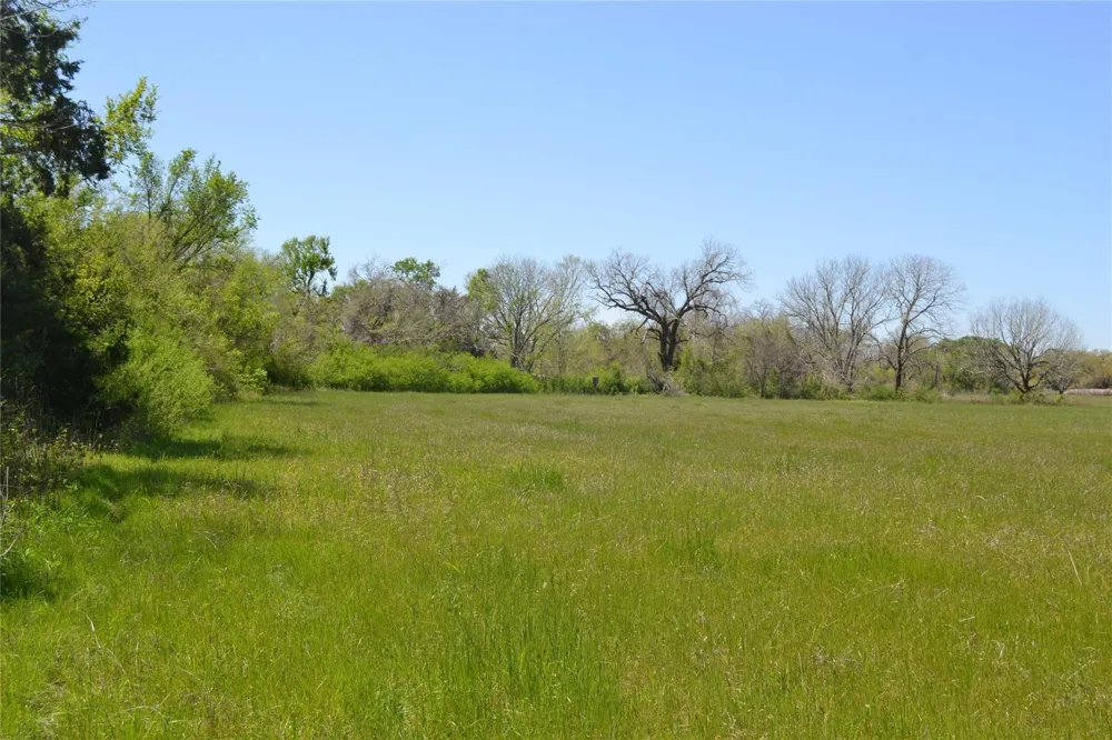 5568 Bleiblerville Road Bleiblerville, TX 78931