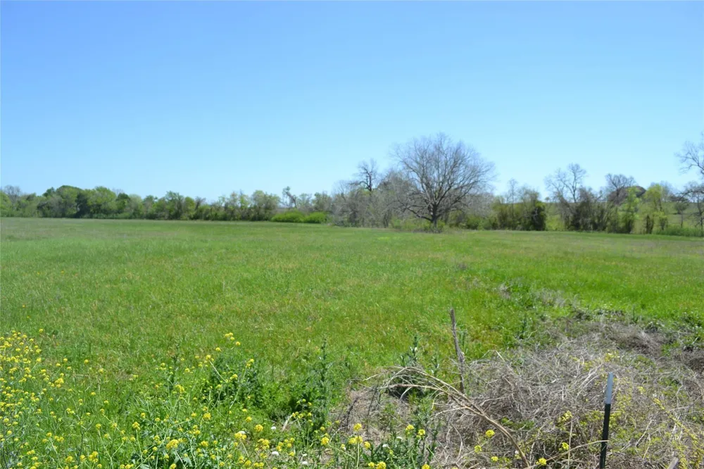 5568 Bleiblerville Road Bleiblerville, TX 78931