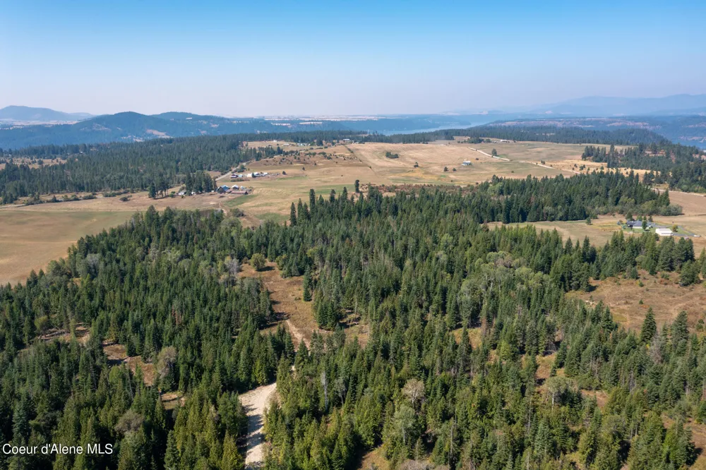 7380 E Bell Canyon Road Harrison, ID 83833