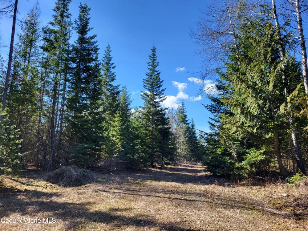 7380 E Bell Canyon Road Harrison, ID 83833