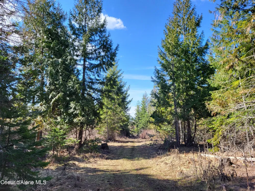 7380 E Bell Canyon Road Harrison, ID 83833