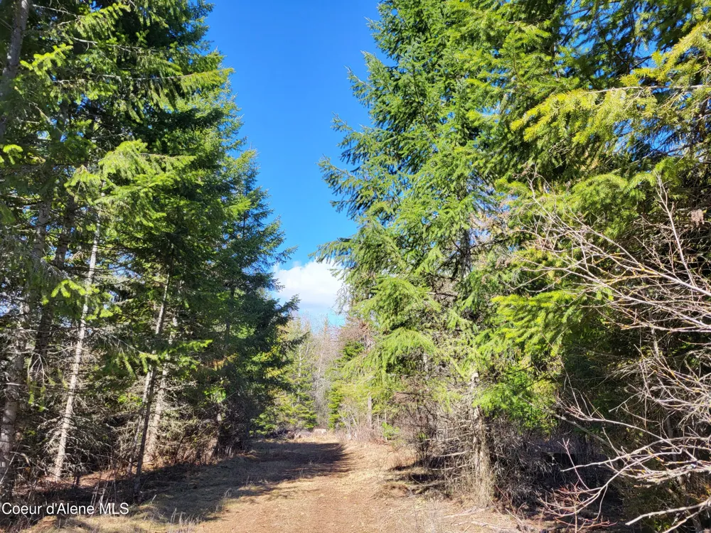 7380 E Bell Canyon Road Harrison, ID 83833