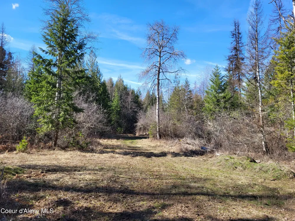 7380 E Bell Canyon Road Harrison, ID 83833
