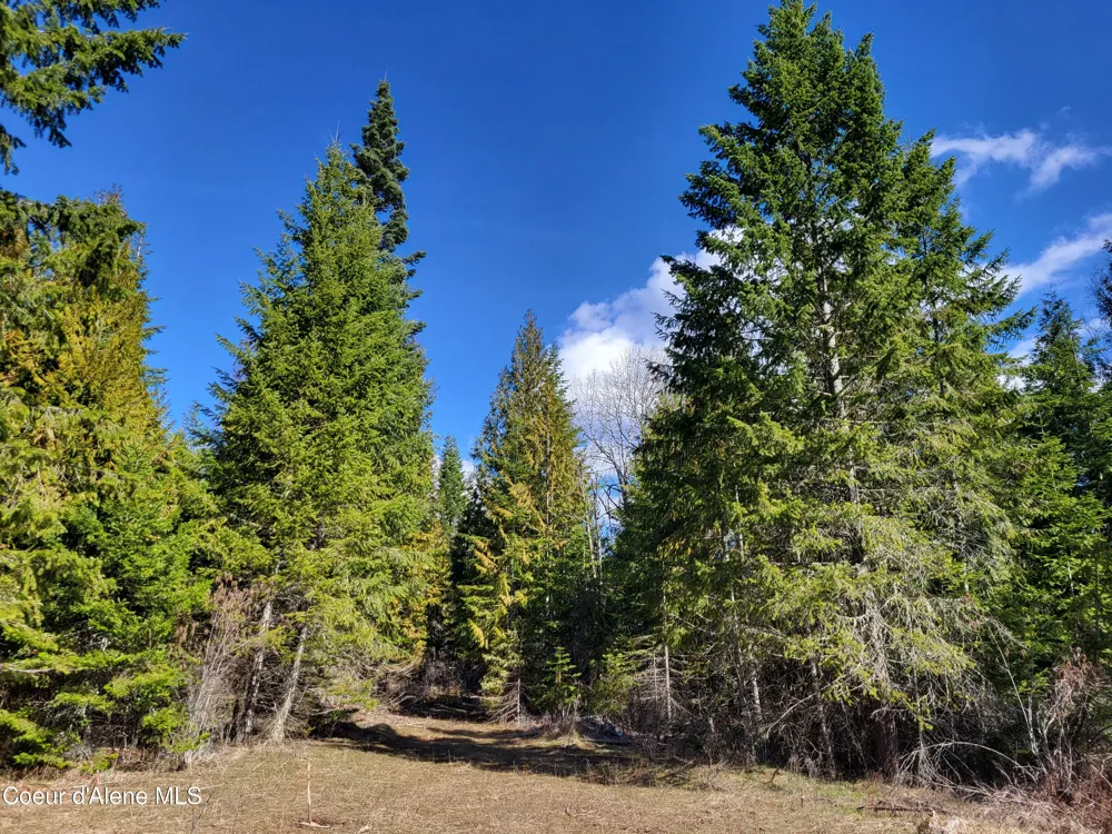 7380 E Bell Canyon Road Harrison, ID 83833