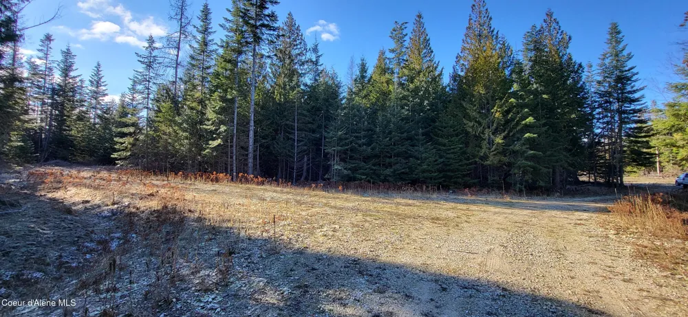 7380 E Bell Canyon Road Harrison, ID 83833