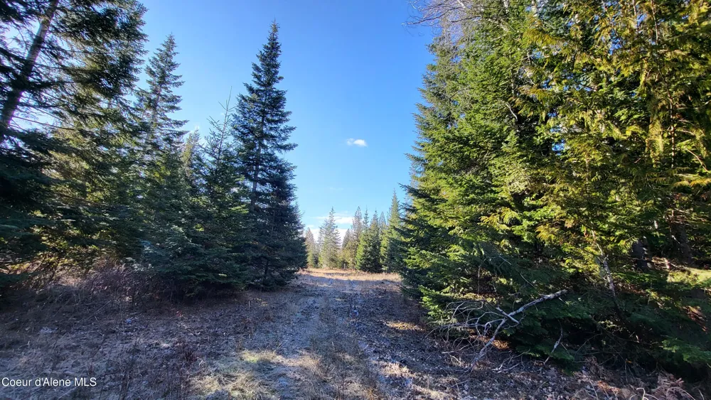 7380 E Bell Canyon Road Harrison, ID 83833