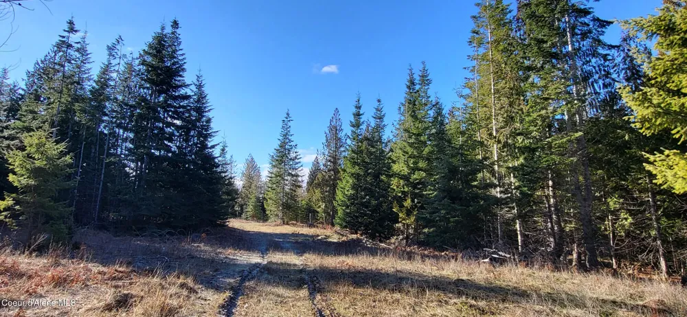 7380 E Bell Canyon Road Harrison, ID 83833