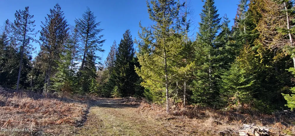 7380 E Bell Canyon Road Harrison, ID 83833