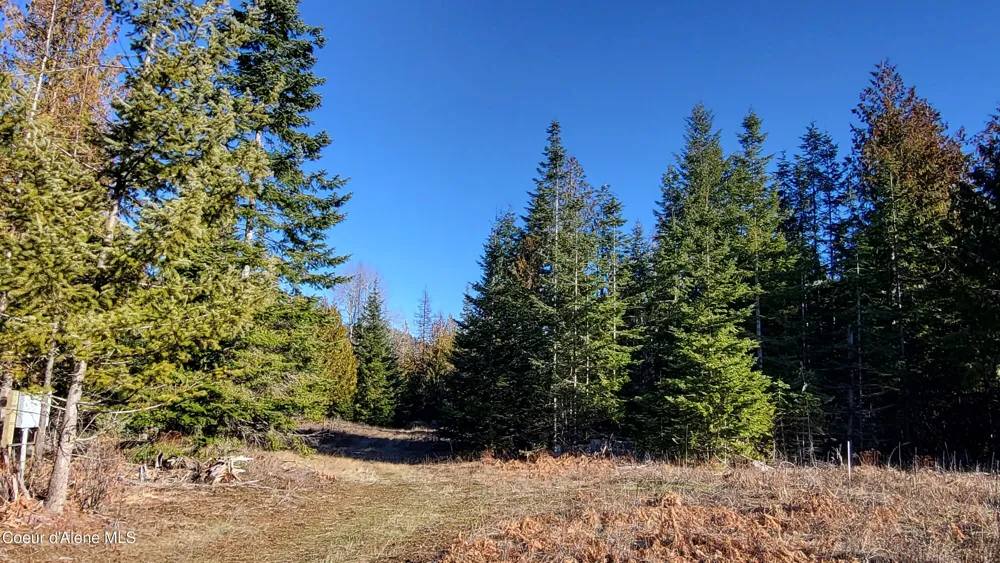 7380 E Bell Canyon Road Harrison, ID 83833