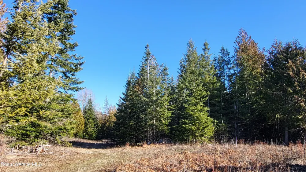 7380 E Bell Canyon Road Harrison, ID 83833