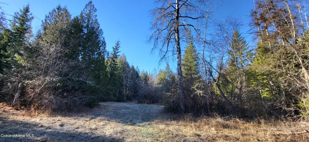 7380 E Bell Canyon Road Harrison, ID 83833