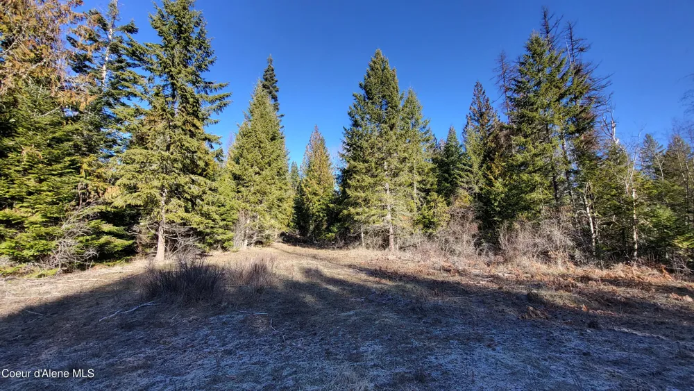 7380 E Bell Canyon Road Harrison, ID 83833