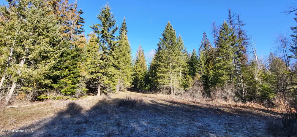 7380 E Bell Canyon Road Harrison, ID 83833