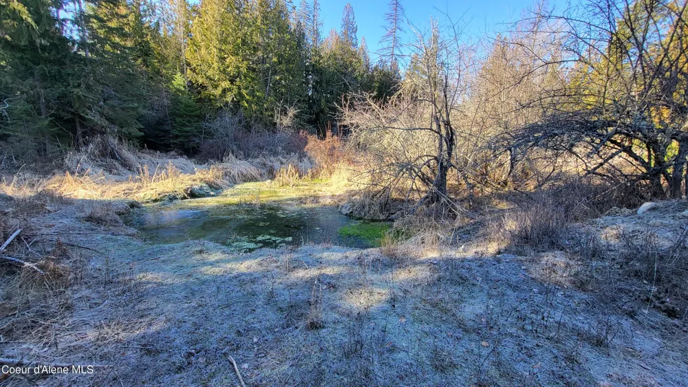 7380 E Bell Canyon Road Harrison, ID 83833