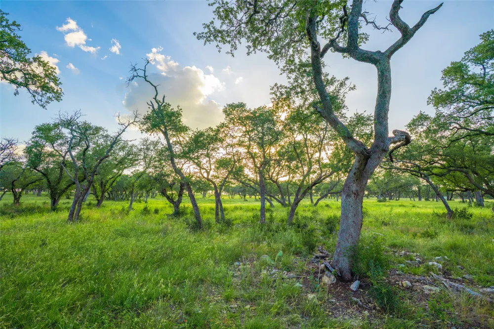 Twisted Vine Ranch Johnson City, TX 78636