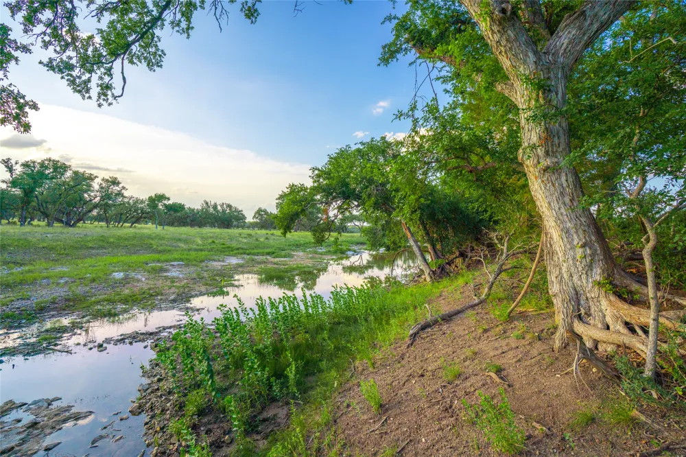 Twisted Vine Ranch Johnson City, TX 78636