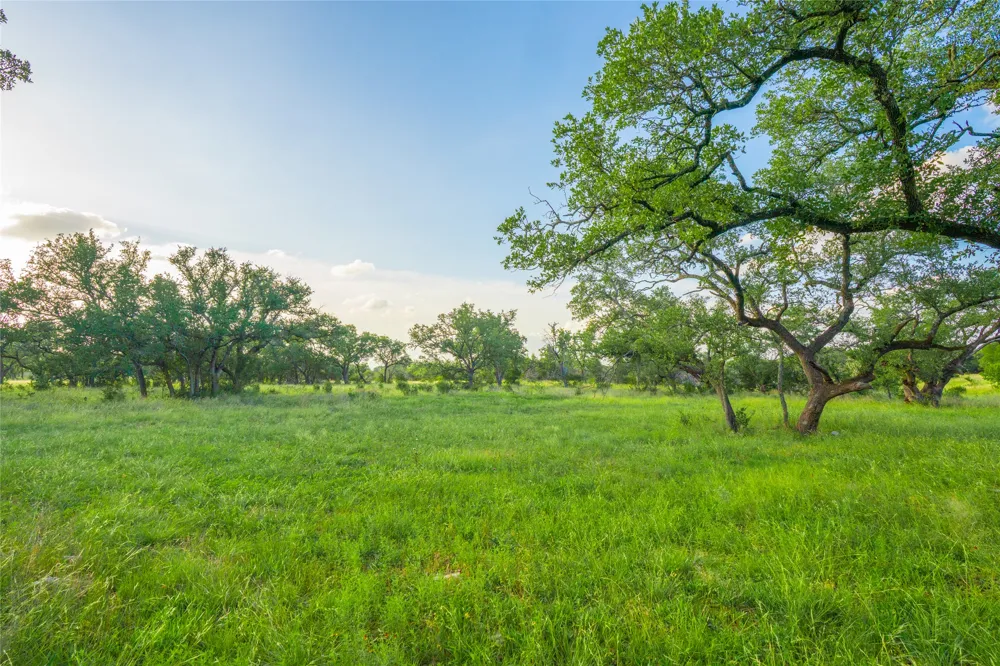 Twisted Vine Ranch Johnson City, TX 78636