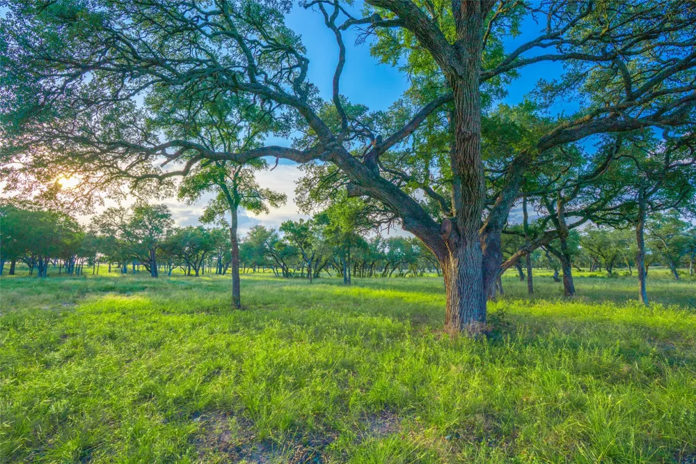 Twisted Vine Ranch Johnson City, TX 78636