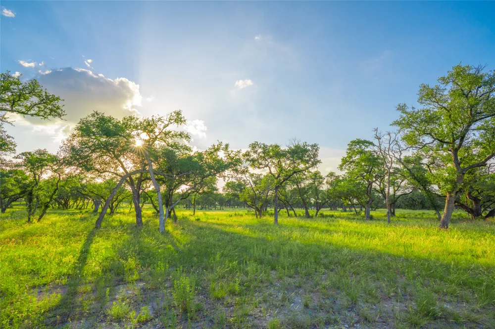 Twisted Vine Ranch Johnson City, TX 78636