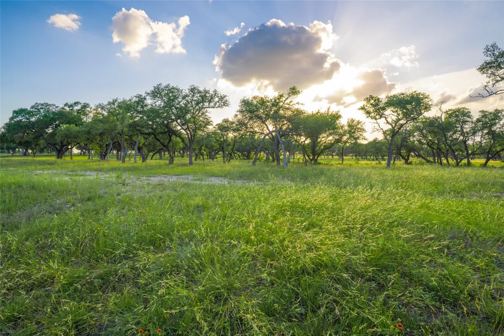 Twisted Vine Ranch Johnson City, TX 78636