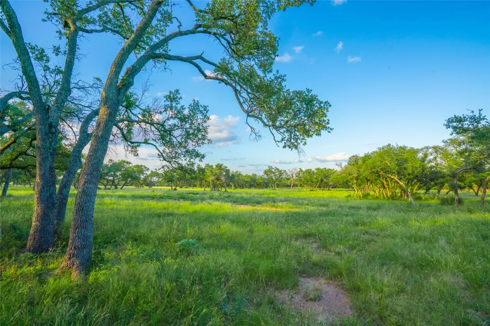 Twisted Vine Ranch Johnson City, TX 78636