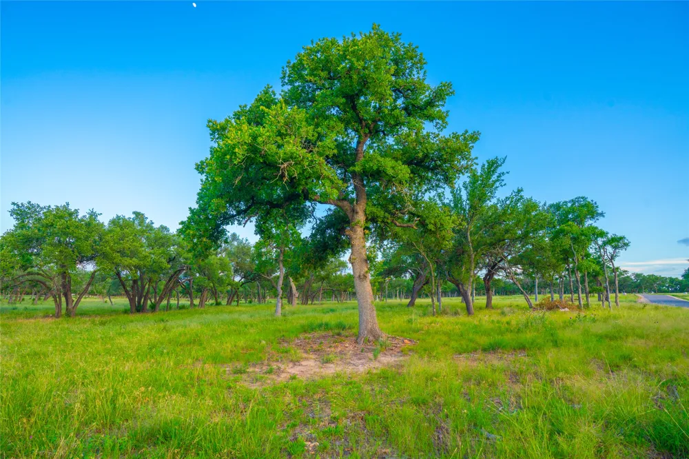 Twisted Vine Ranch Johnson City, TX 78636