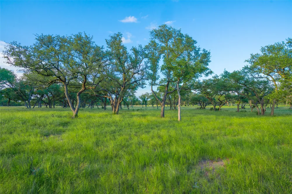 Twisted Vine Ranch Johnson City, TX 78636