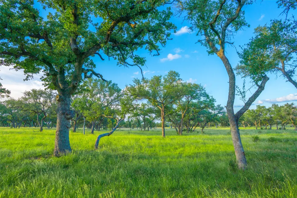 Twisted Vine Ranch Johnson City, TX 78636
