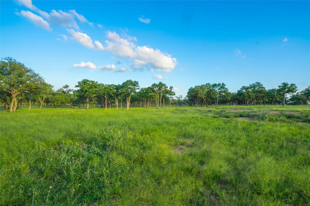 Twisted Vine Ranch Johnson City, TX 78636